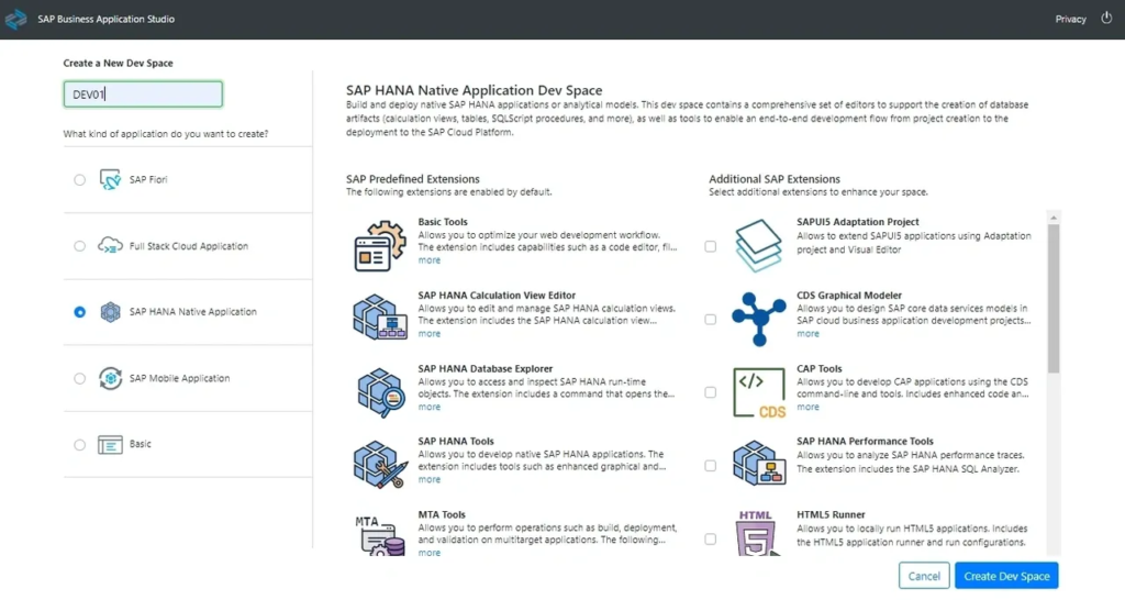 sap hana native application dev space