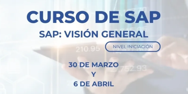 Curso de SAP: Visión general